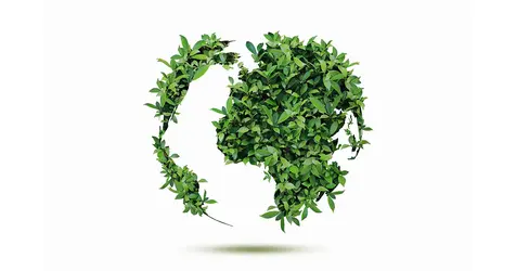Globe made out of leaves
