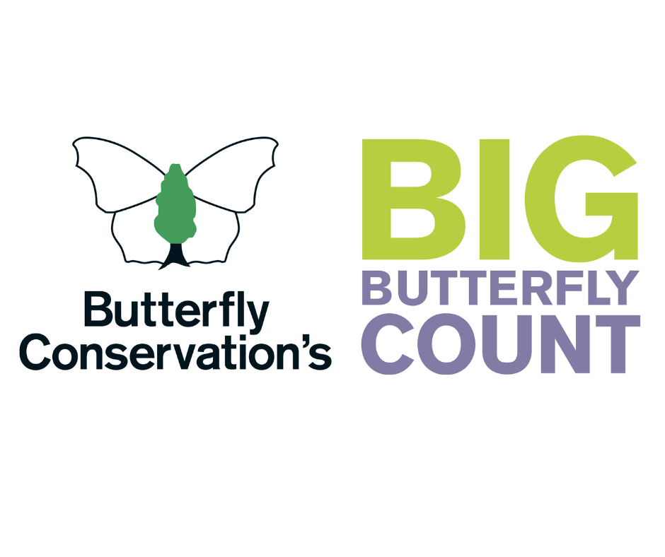 RPL supports the Big Butterfly Count