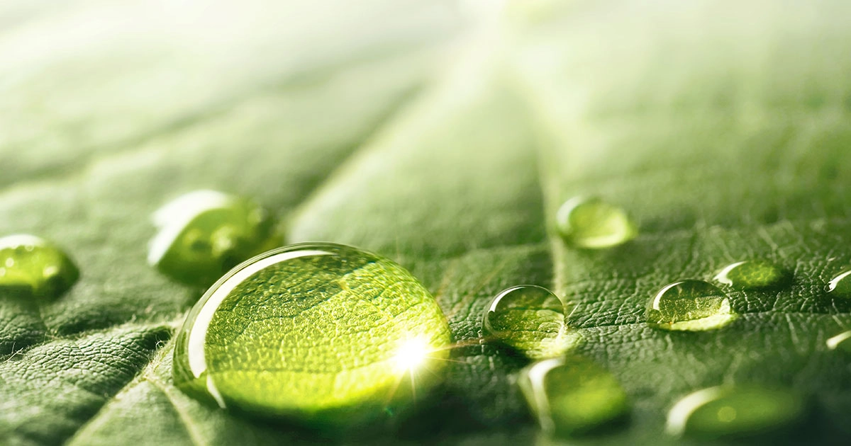 Ricoh named in TIME World's Most Sustainable Companies of 2025