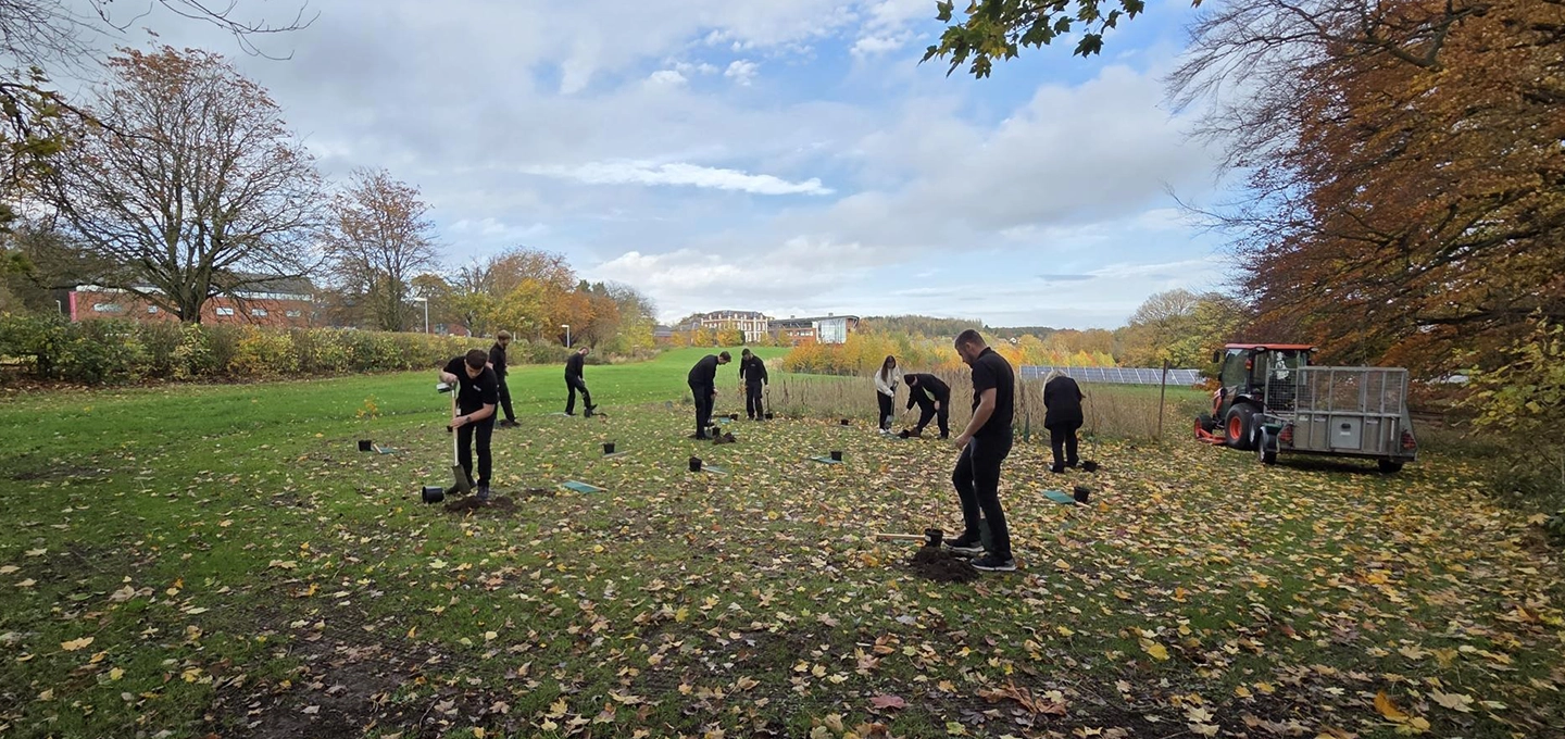 Apprentices digging holes to plant their trees