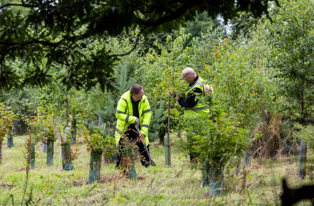 Red fading banner into an outdoor garden area covered in greenery