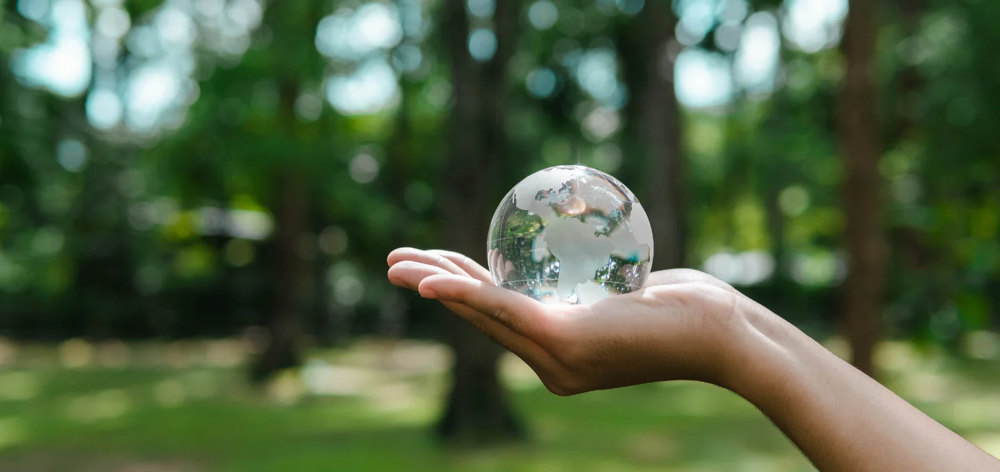 A hand holding a globe, in a forest setting.